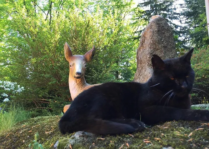 Dom Lidia Vakantiehuis Szklarska Poręba